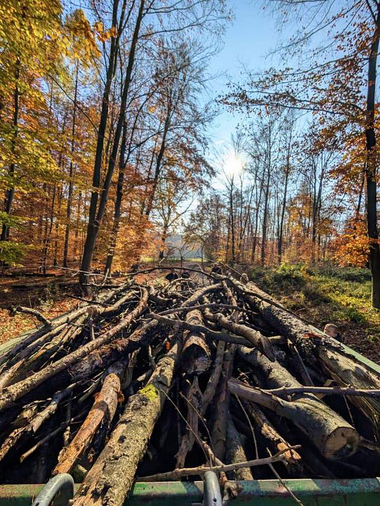 Bild: 20251129-171434.jpg